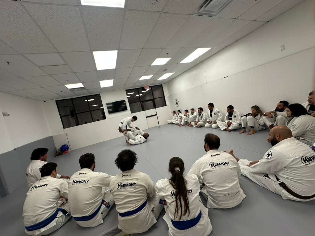 brazilian jiu jitsu